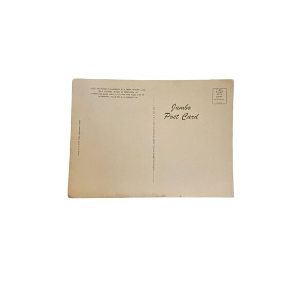 Vintage Postcard  Monahans Sands Hill State Park Texas US Highway 80 u - Picture 2 of 2